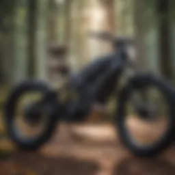 Electric bike motor power illustration