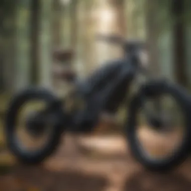 Dynamics of Motor Power in E-Bikes Electric bike motor power illustration