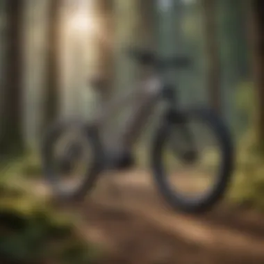 Pedal Assistance Variations in Electric Bicycles E-Bike pedal assistance levels diagram