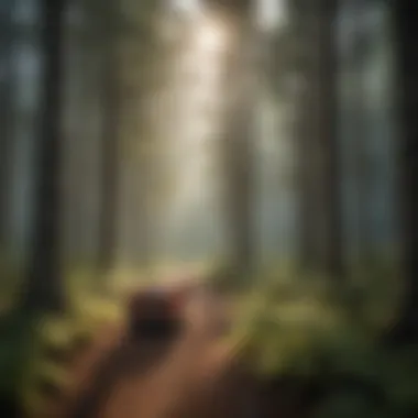 Eco-Friendly Forest Conservation Solutions Eco-Friendly Forest Conservation Solutions