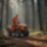 Eco-Friendly Hazard Cleaning Techniques in Forestry