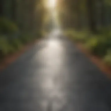 Sustainable Practices: Tuf Top Paver Sealer 335 Eco-Friendly Pavement Maintenance