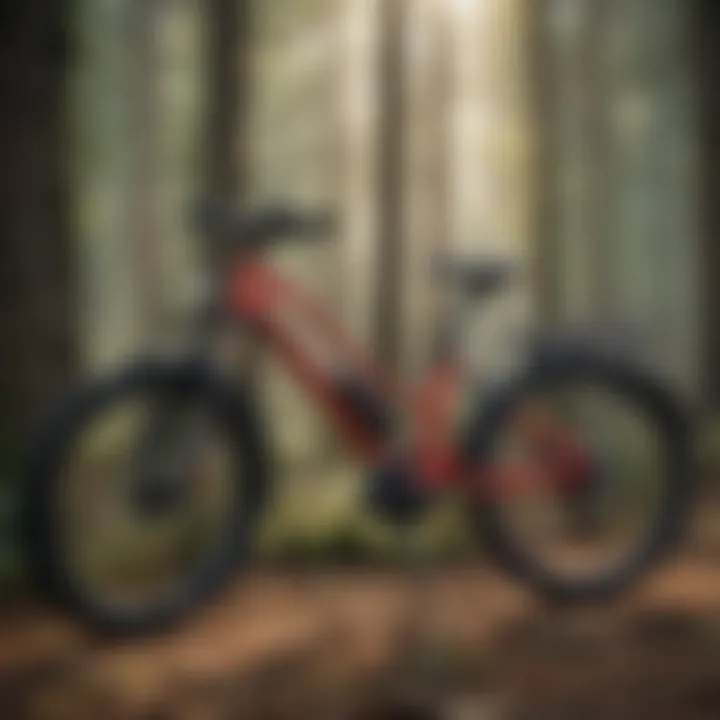 Sustainable urban mobility with class 2 e-bikes