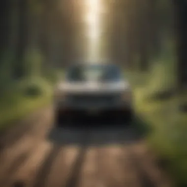 Ecological Impact of Jackrabbit Drive