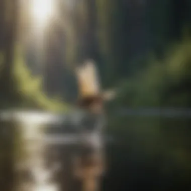 Close-up of a fly being cast onto a tranquil lake surface