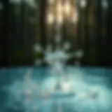 Chlorine molecules in water