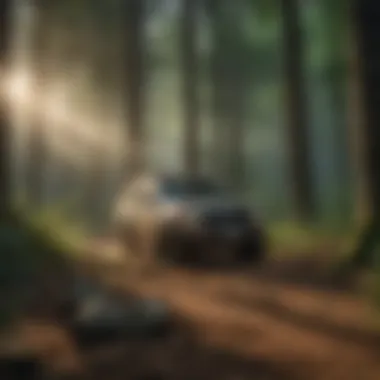 Guarding Woodlands Forest Protection from Gypsy Moths