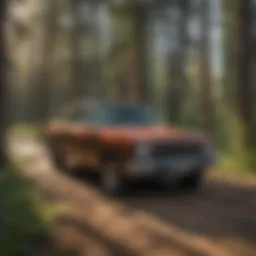 Efficient data organization in Rapid City