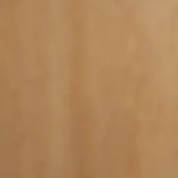 Detailed view of eighth inch plywood texture and grain.