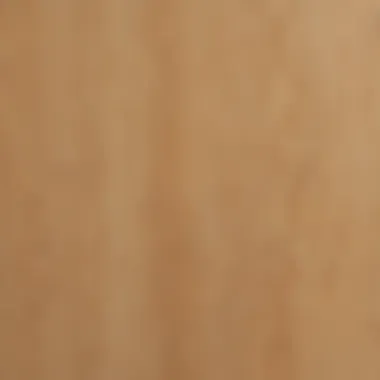 Detailed view of eighth inch plywood texture and grain.