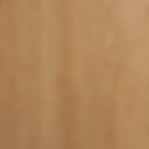 Detailed view of eighth inch plywood texture and grain.
