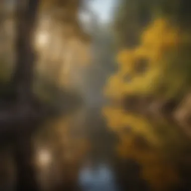 Golden Reflections in Tranquil Waters Golden Reflections in Tranquil Waters