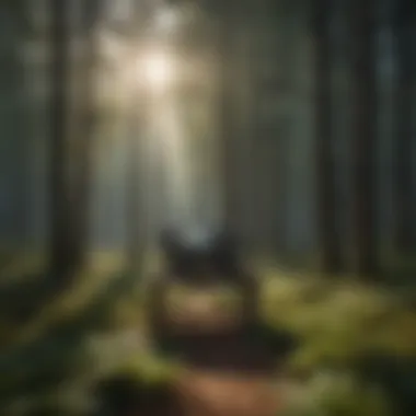 Origins of the ELOmeter test depicted in a symbolic way