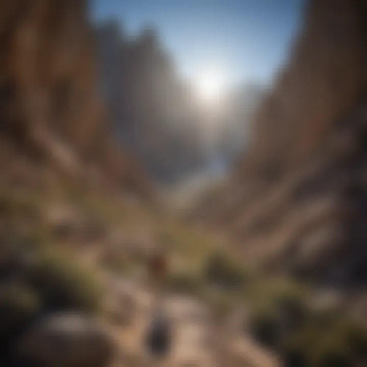 Adventurers Embracing the Challenge on Mt. Whitney