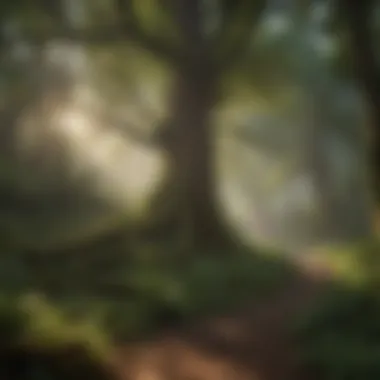 Whispers of Nature's Secrets Enchanted Forest Canopy