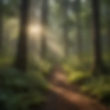 Enchanting Biodiversity of American Forests Enchanting Biodiversity of American Forests