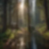 Enchanting Forest Campground in Eastern Washington