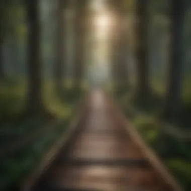 Enchanting Forest Canopy Trail Enchanting Forest Canopy Trail