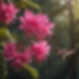 Vibrant Fuchsia Tree Blossoms Attracting Hummingbirds