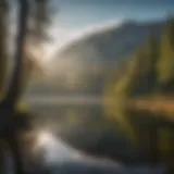 Reflecting beauty of Upper Lake, CA