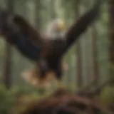 Majestic Bald Eagle in Peril