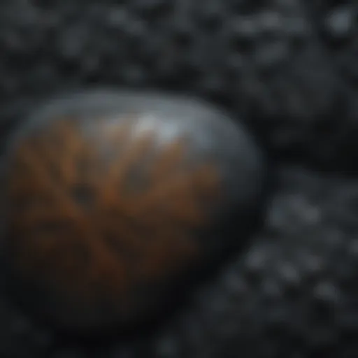 Intricate Patterns A mesmerizing close-up of the intricate patterns on the black glass-like rock