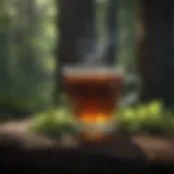 Enigmatic Brew of Shamanistic Herbs
