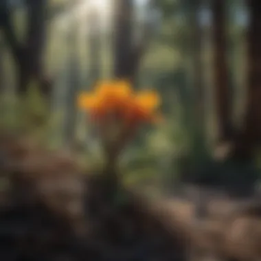 Enigmatic Flora and Fauna in TBTC Tularosa