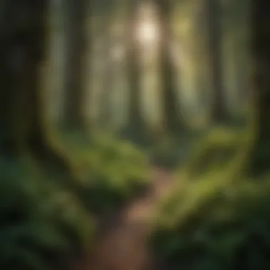 Diverse Undergrowth Beneath Snohomish Canopy Lush undergrowth of diverse plant species beneath Snohomish trees