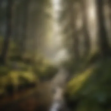 Echoes of Nature's Choir
