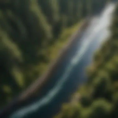 Water's Vitality: The Lifeline of Ecosystems An aerial view of a pristine river flowing through a diverse landscape