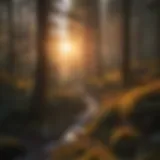 Vivid sunset over a serene forest landscape