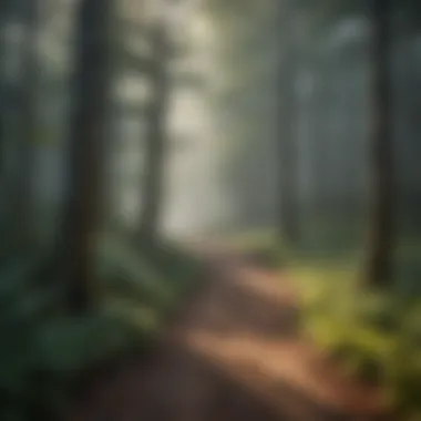 Ethereal Misty Forest Path