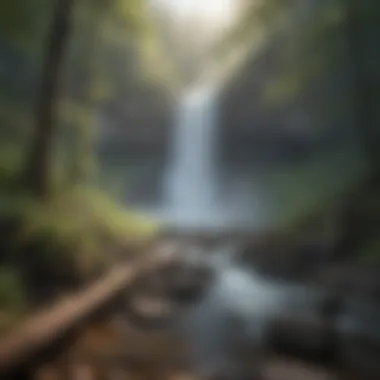Ethereal Morning Mist over Big Falls Trailhead