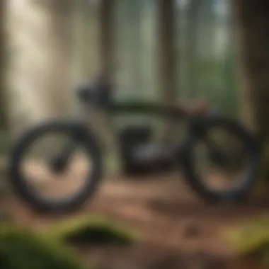 Evolution of Technology Evolution of Technology in Edison Bikes