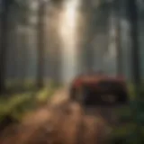 Innovative Forest Management