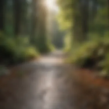 Transformative Adhesive Influence on Industries Adhesive Impact on Manufacturing Sectors