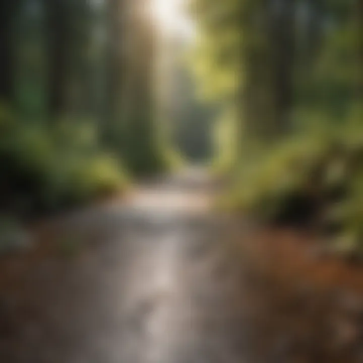 Transformative Adhesive Influence on Industries Adhesive Impact on Manufacturing Sectors