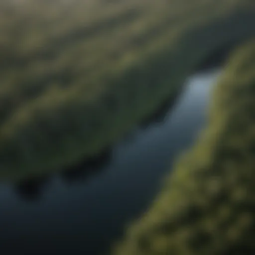 Aerial Beauty of Albemarle Sound Aerial view of the serene waters of Albemarle Sound with surrounding greenery
