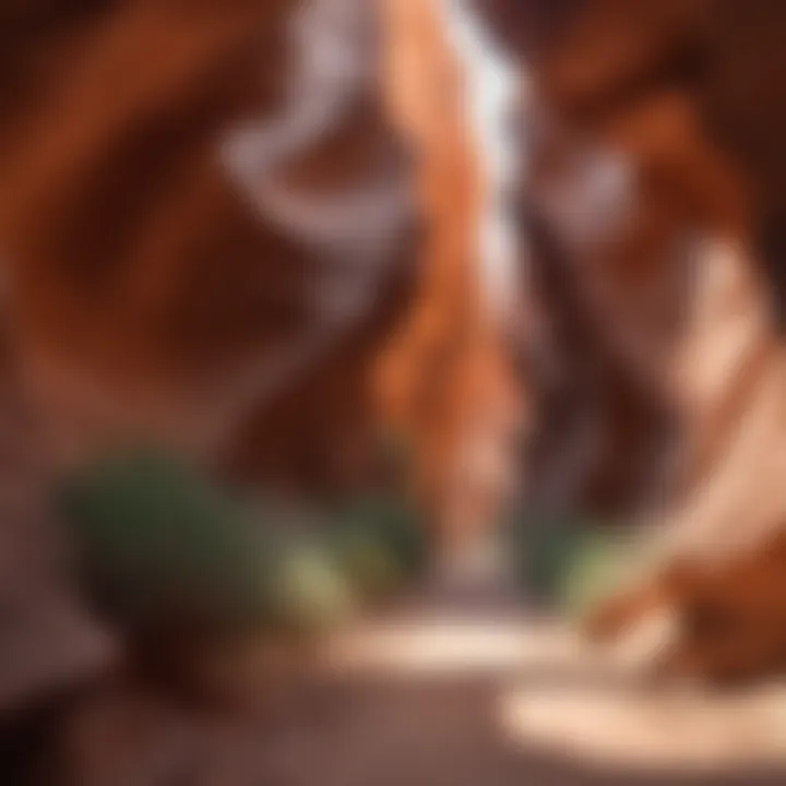 Trail leading through the enchanting Antelope Canyon landscape