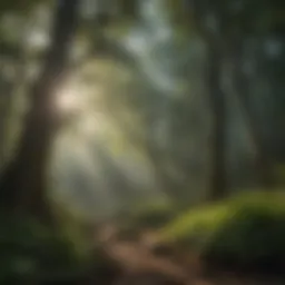 Lush forest canopy in Asheville