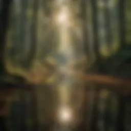 Forest Canopy Reflections