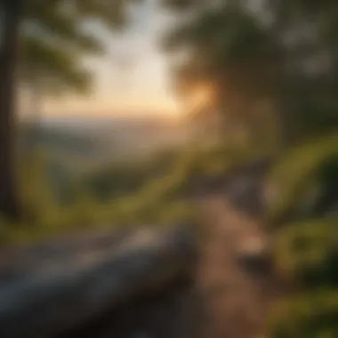 Breathtaking Sunrise Views Sunrise over the Appalachian Trail in West Virginia