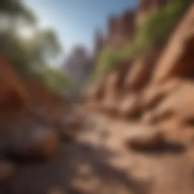 Close-up of unique geological formations along the trail