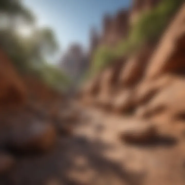 Close-up of unique geological formations along the trail