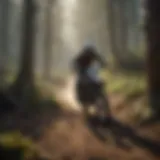 Illustration of a dirt bike rider navigating through a rugged trail