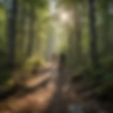 Scenic Vistas of New Hampshire Panoramic view of lush forests and mountains from a mountain bike trail