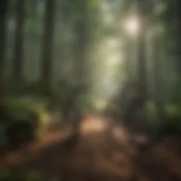 Scenic view of Bethel Mountain Bike Trails surrounded by lush greenery