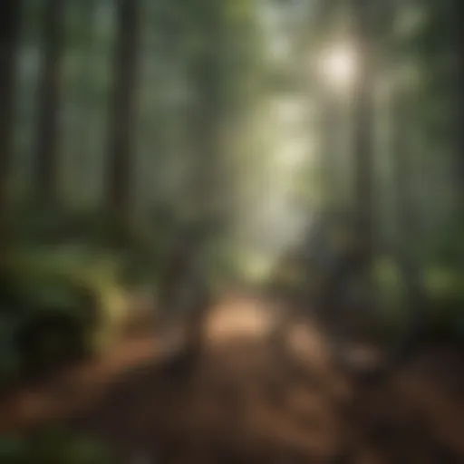 Scenic view of Bethel Mountain Bike Trails surrounded by lush greenery