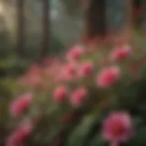 Floral Symphony in Red and Pink